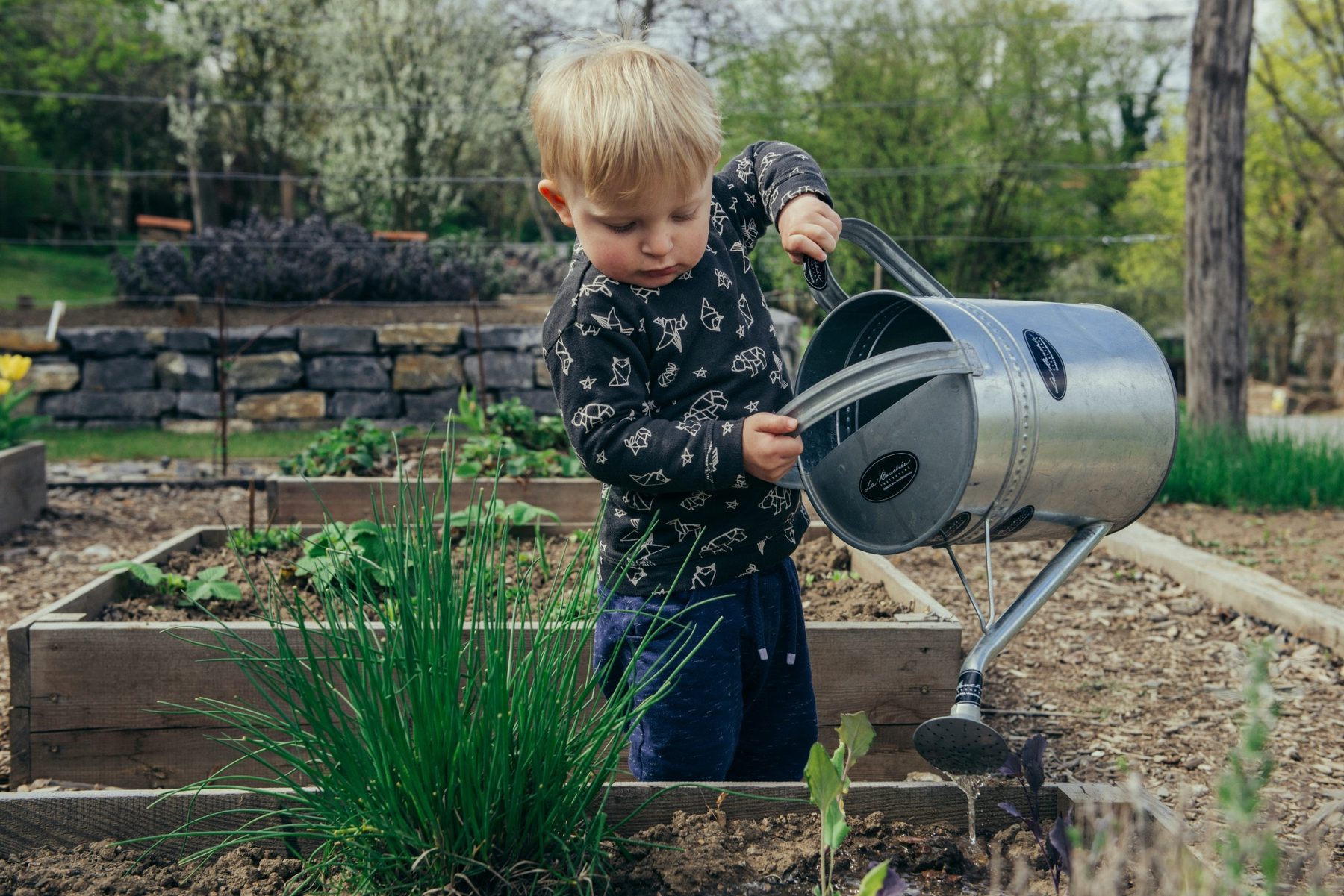 Child watering a garden